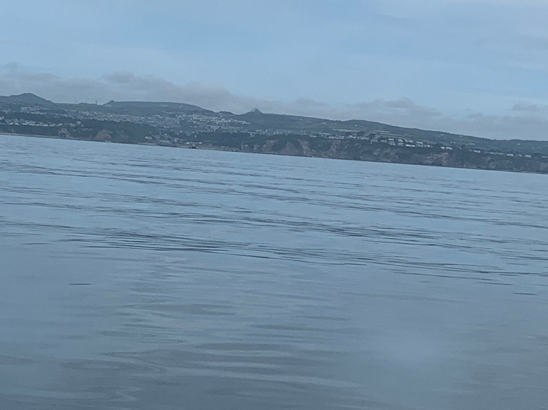 Mevagissey to Fowey Ferry-梅瓦吉西必去景点