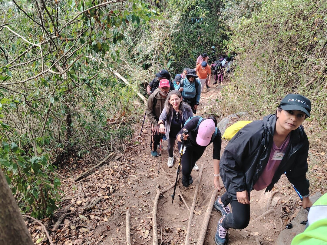 Giba Gorge Mountain Bike Park-派恩敦必去景点