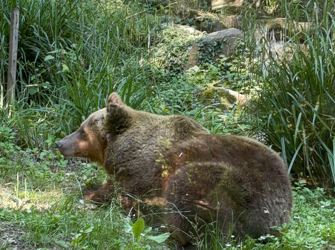 Giardino Zoologico Di Pistoia-皮斯托亚必去景点
