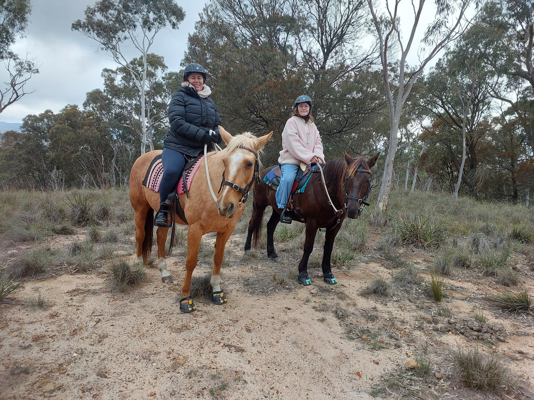 Burnelee Excursions on Horseback-穆任百特曼必去景点