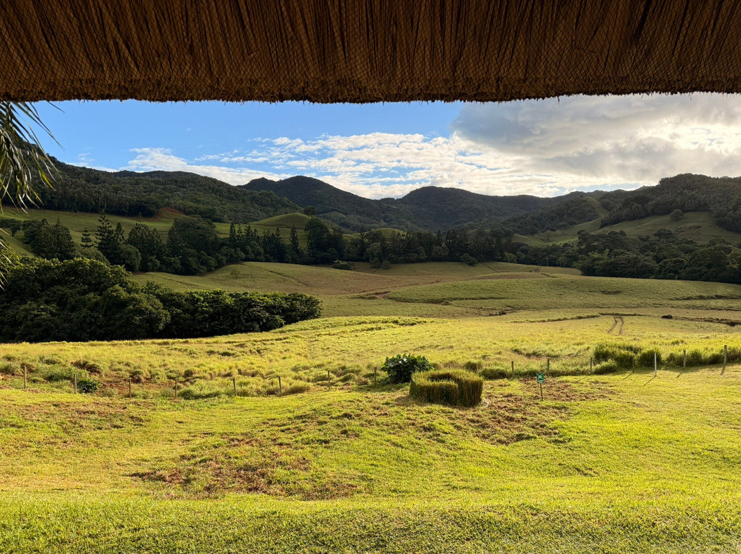 Ferney Nature Lodge主图