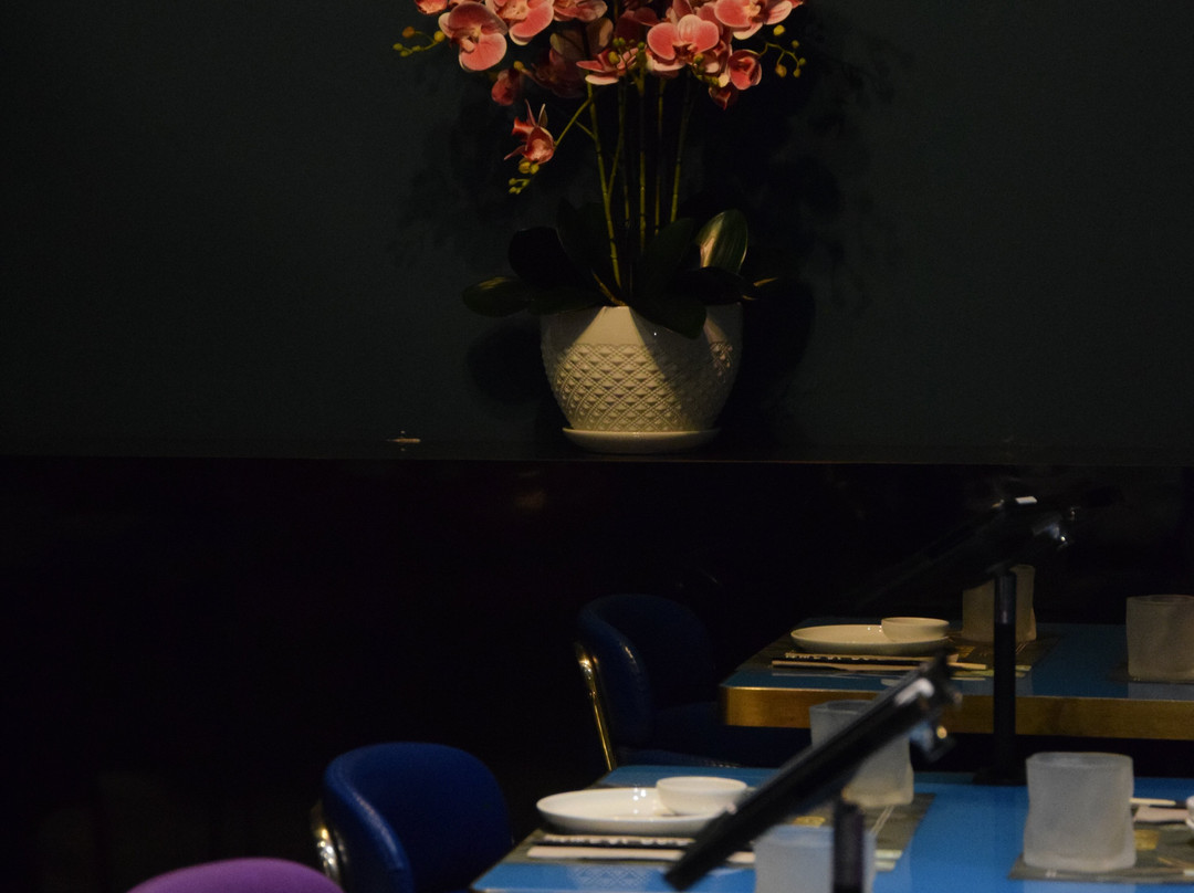 Golfo Sushi Restaurant