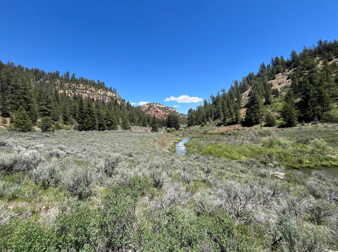Colorado Backcountry Biker-弗鲁塔必去景点