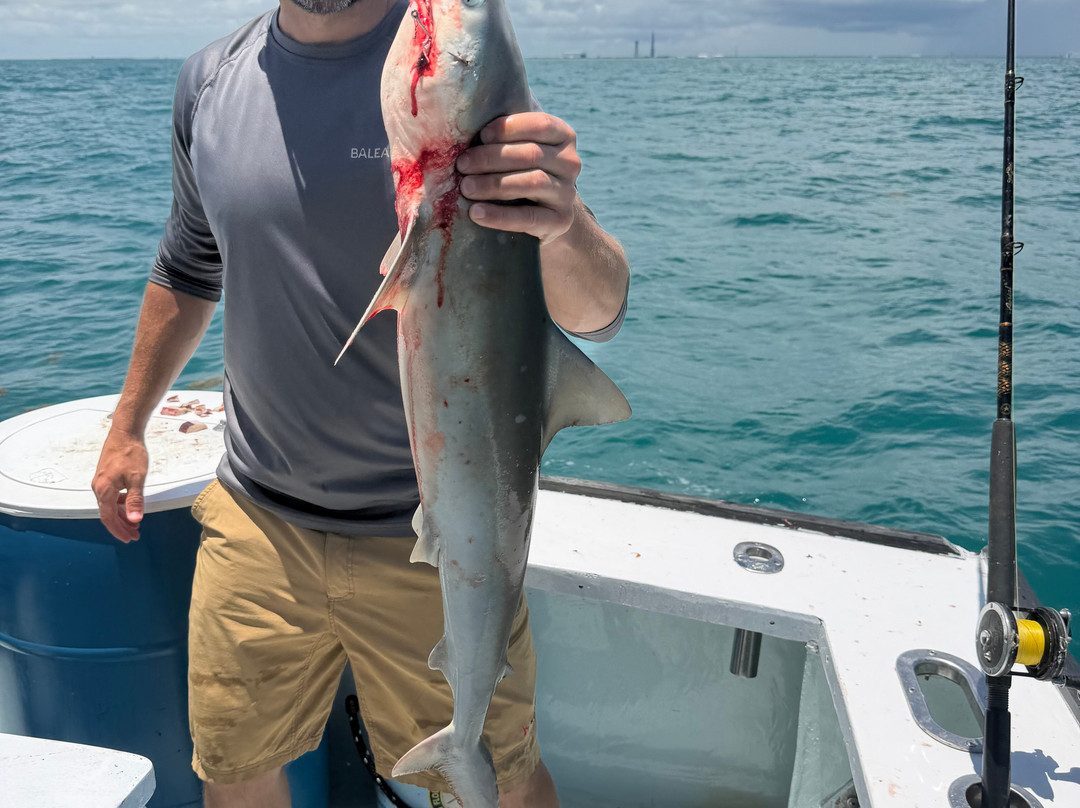 Canaveral Kings Sport Fishing Charters-卡纳维拉尔港必去景点