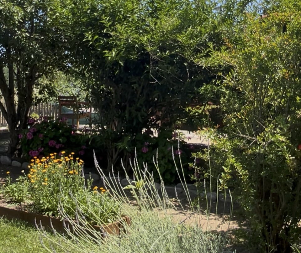 The Garden By Olive Benefits-Karlovasi必去景点