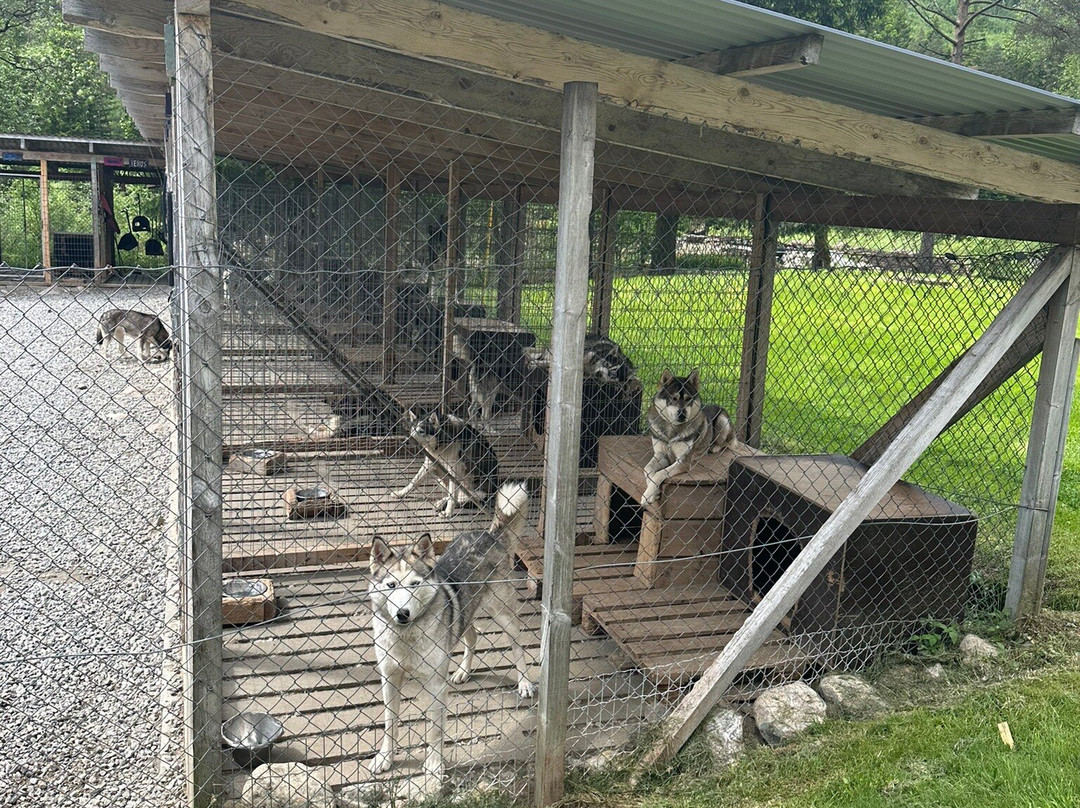 Sirdal Husky Farm-Tonstad必去景点