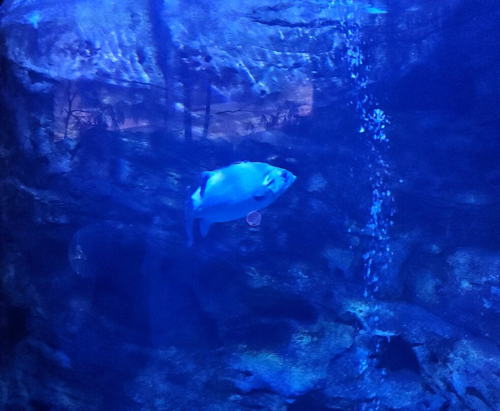 CRETAquarium-Gournes必去景点