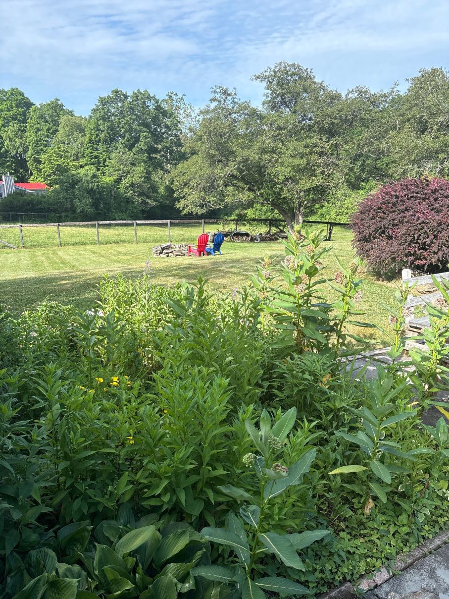 WhistleWood Farm Bed and Breakfast-旅行者
