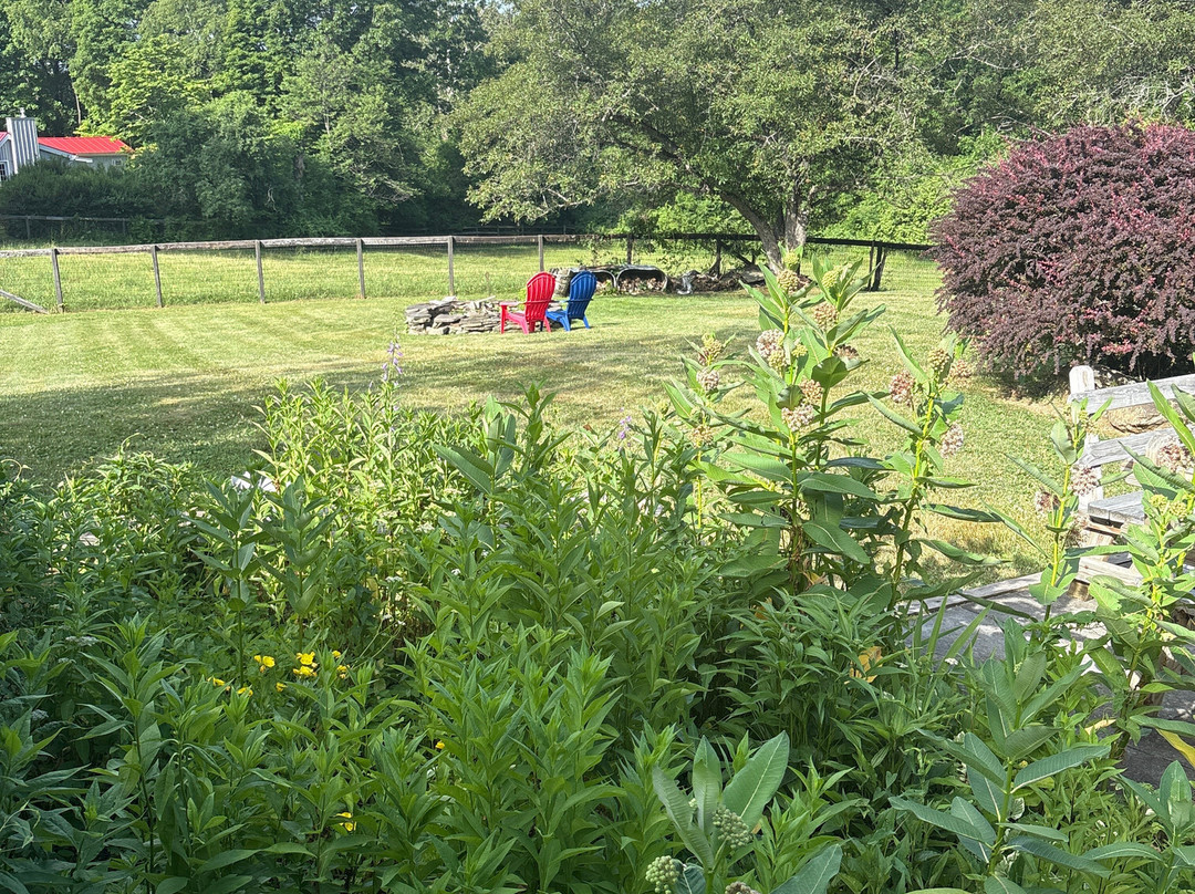 WhistleWood Farm Bed and Breakfast主图