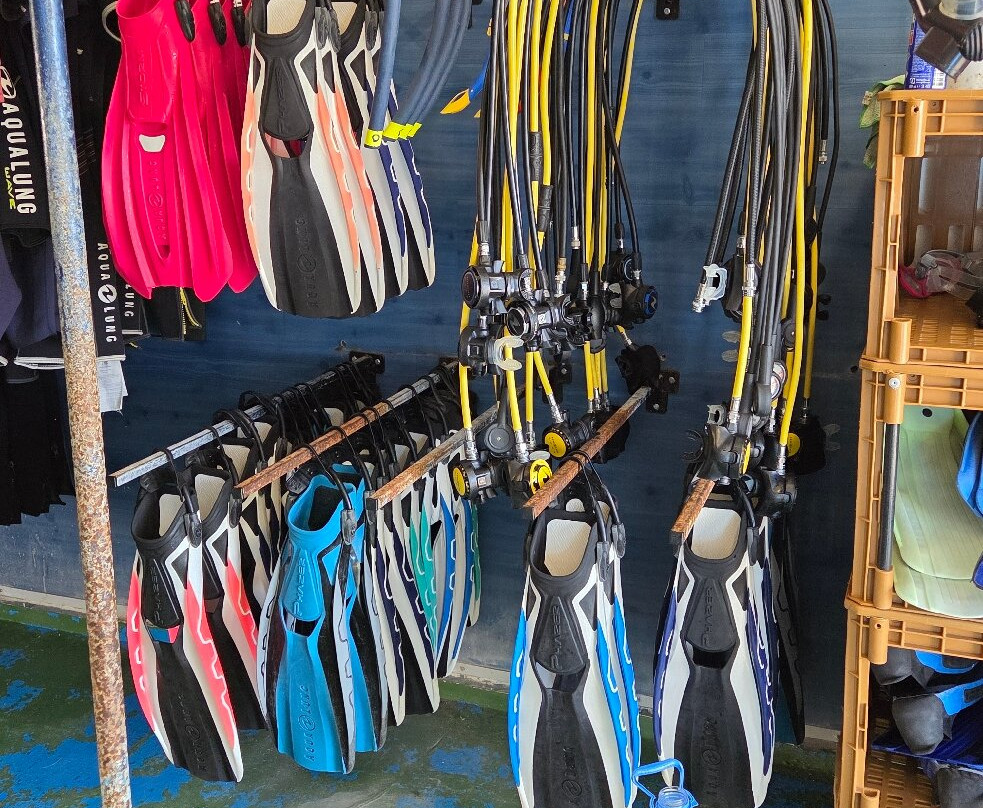 Zeus Dive Center Tenerife-Abades必去景点