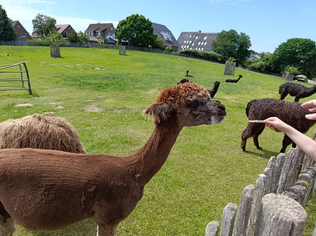 Derr Zoo-Park Arche Noah in Gromitz/Ostsee-Gromitz必去景点