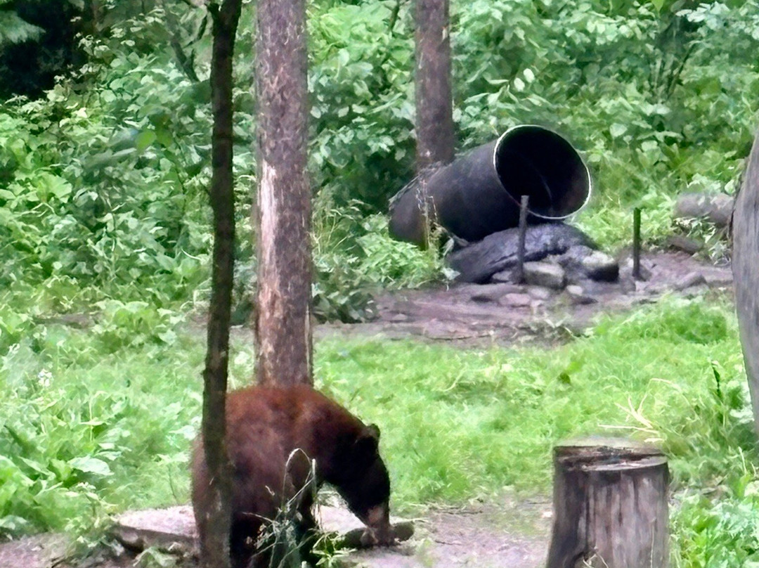 Vince Shute Wildlife Sanctuary-Orr必去景点
