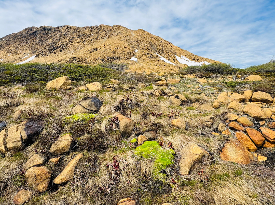The Tablelands-Gros Morne National Park必去景点