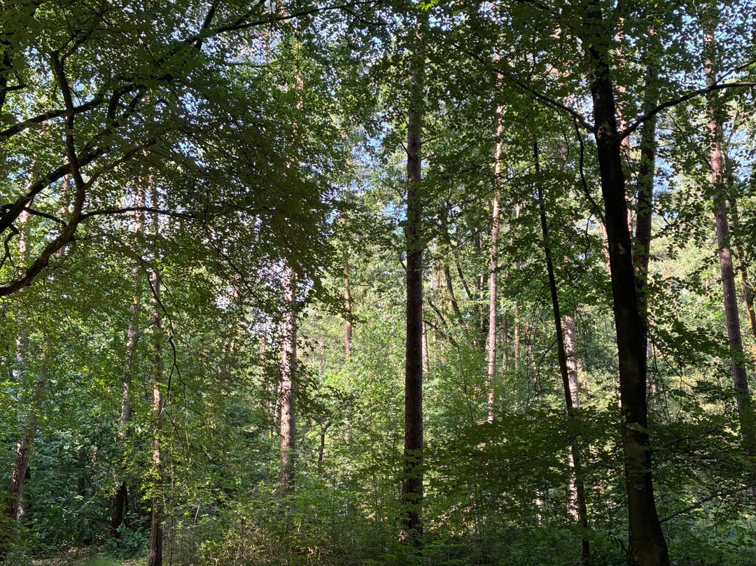 Kroondomein Het Loo-阿珀尔多伦必去景点