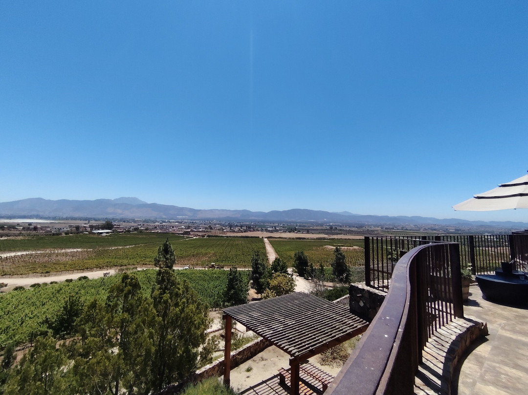 Las Nubes Bodegas y Viñedos-Valle de Guadalupe必去景点