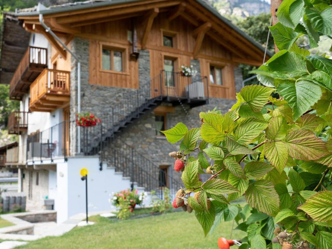 Le Camere di Naturalys - ospitalita in azienda agricola