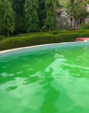 Siyava Valley Resort Pvt. Ltd.-旅行者
