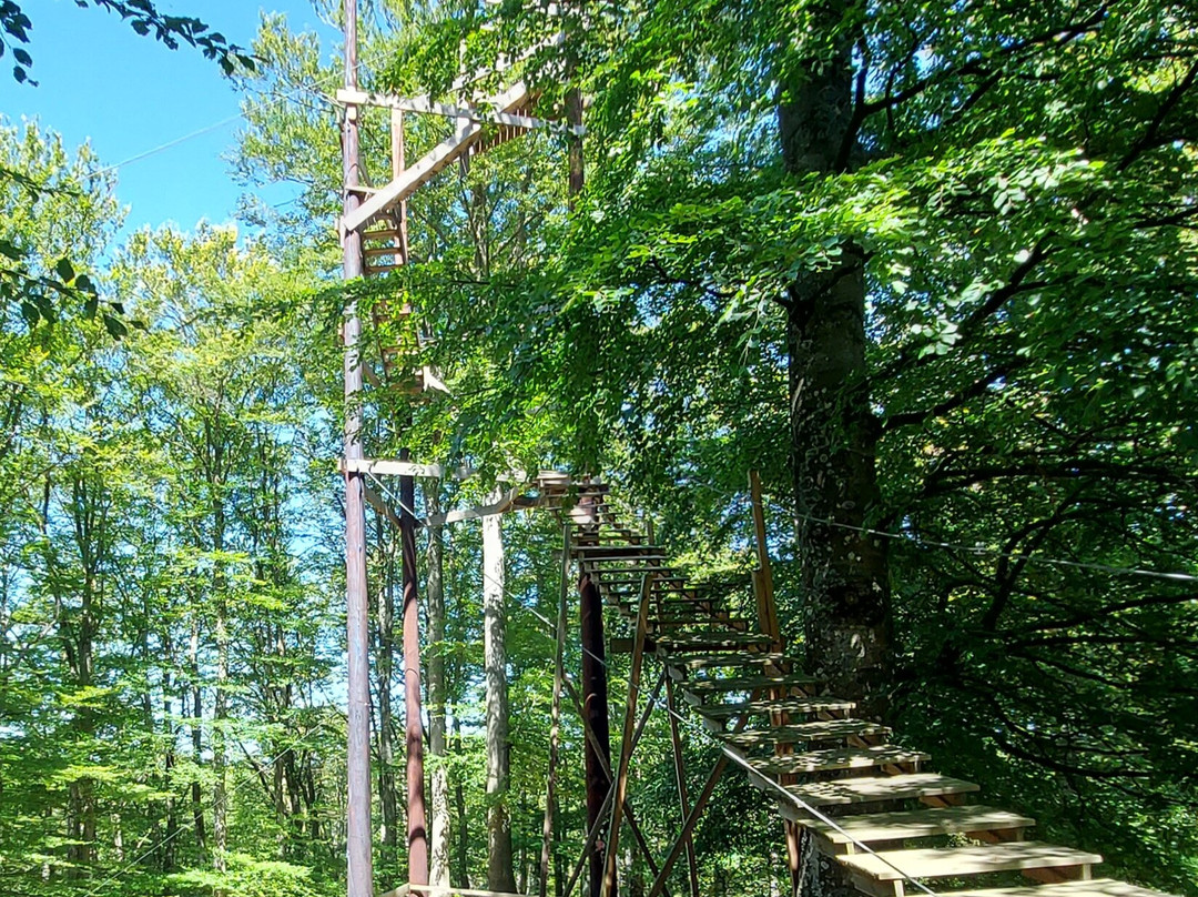 Multilevel Ziplines & Klätterpark-Hassleholm必去景点