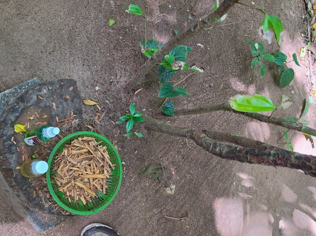 Luckgrove Spice Garden-Matale必去景点