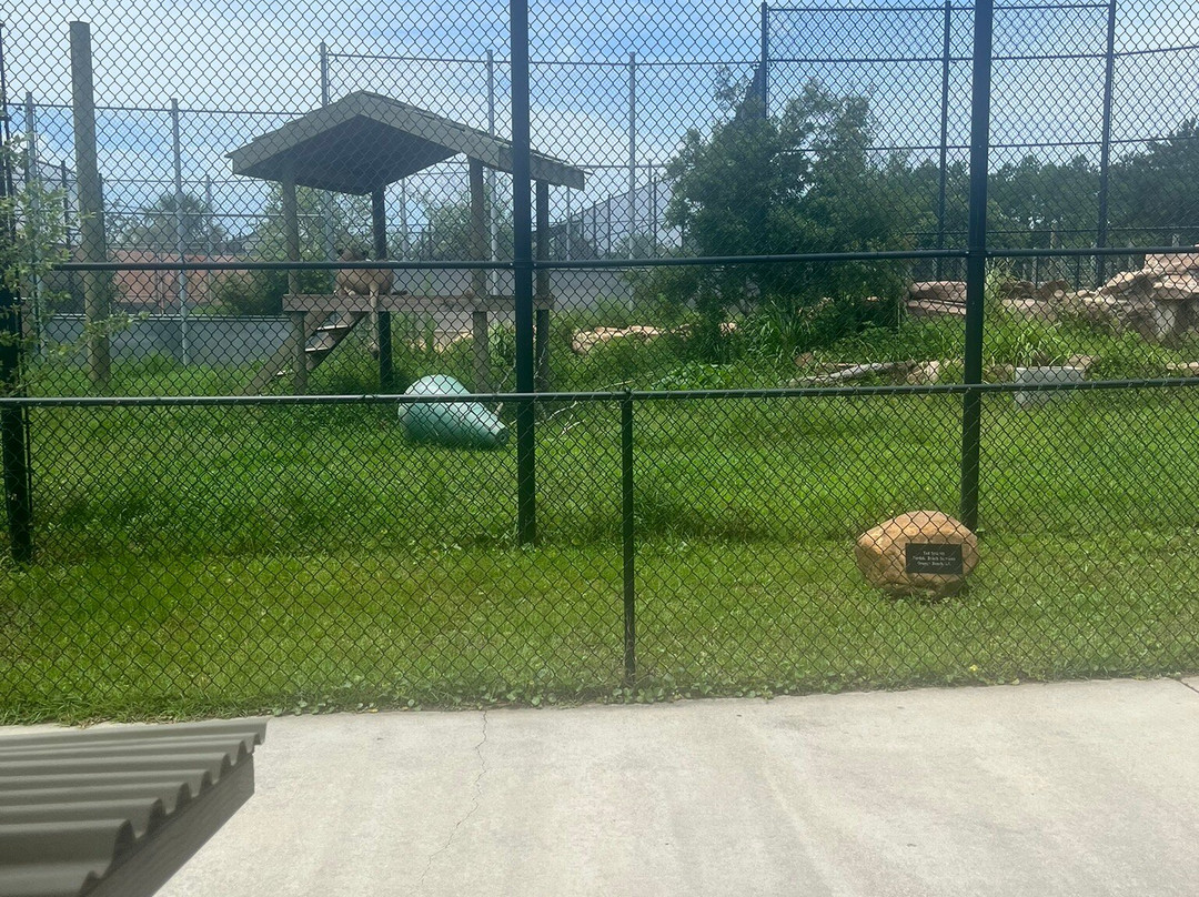 Alabama Gulf Coast Zoo-格尔夫海岸必去景点