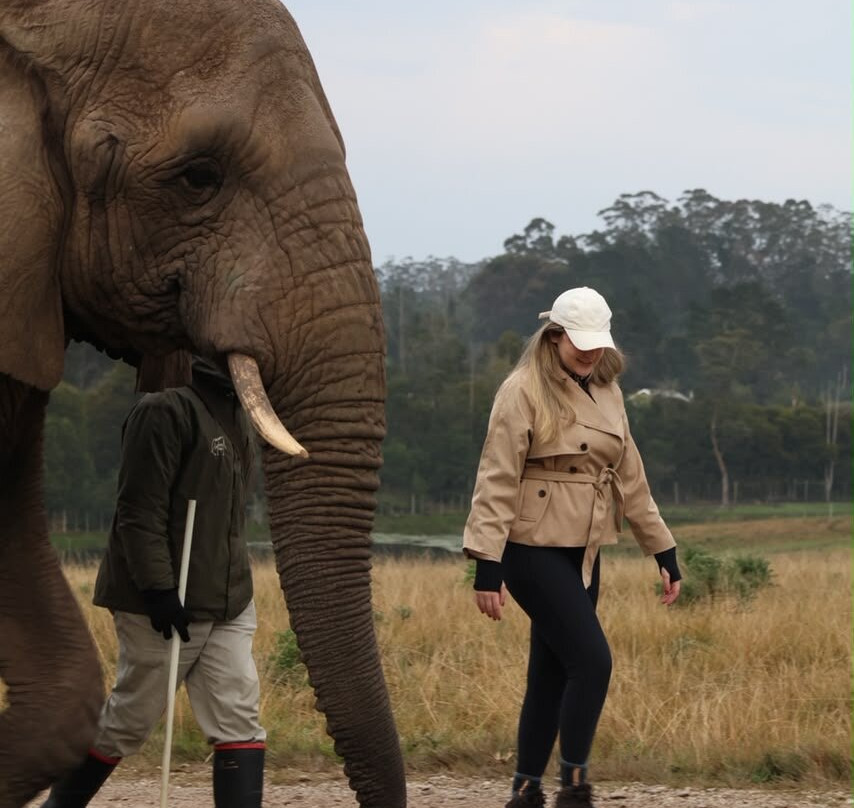 Knysna Elephant Park-克尼斯纳必去景点