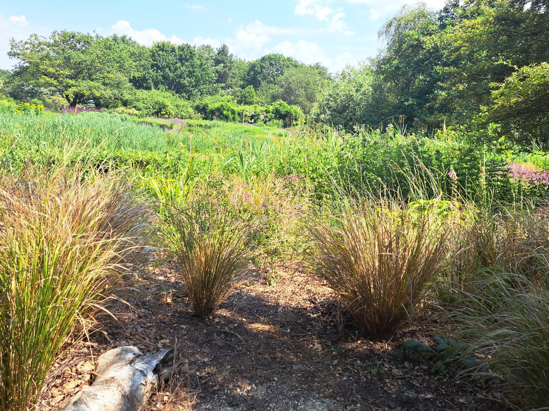 Pensthorpe-Fakenham必去景点