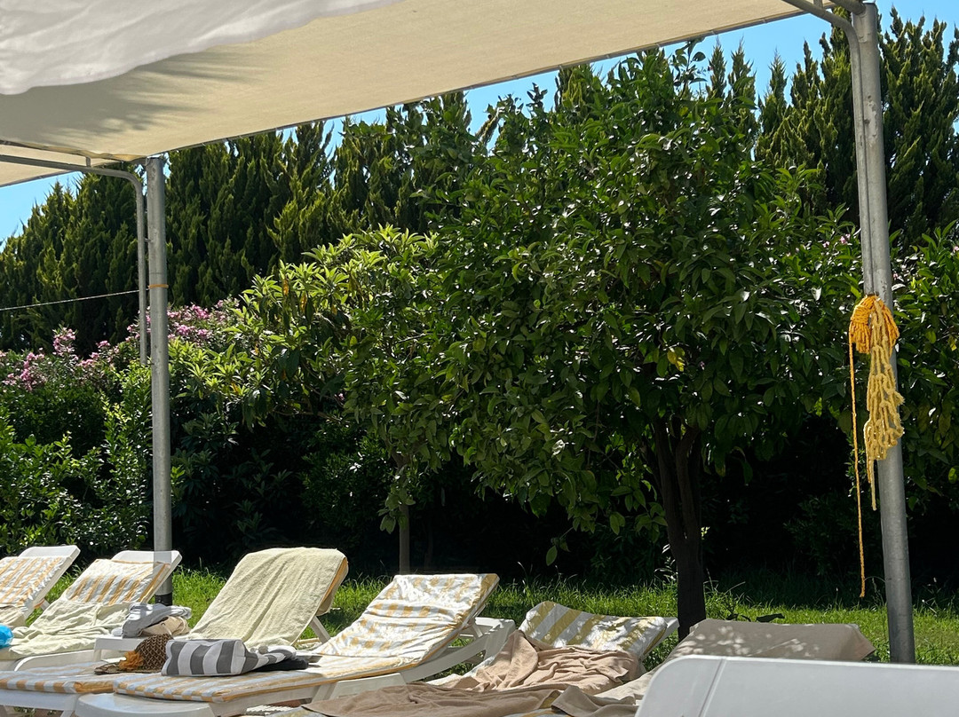 Holiday Garden Resort- Ultra All İnclusive主图