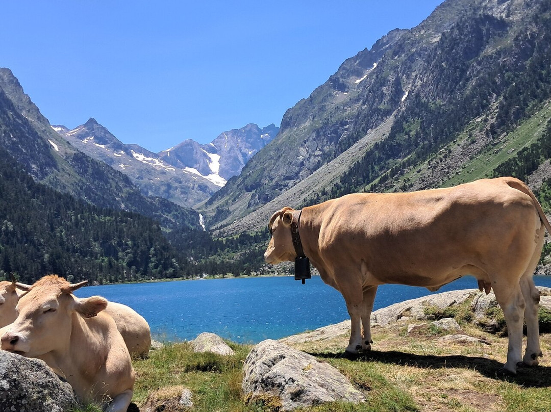 Lac de Gaube-Cauterets必去景点