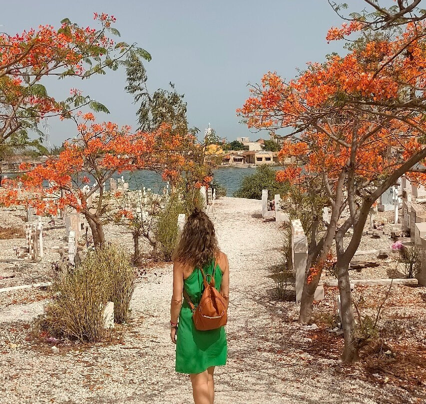 Malick Travel Senegal-Ponto必去景点