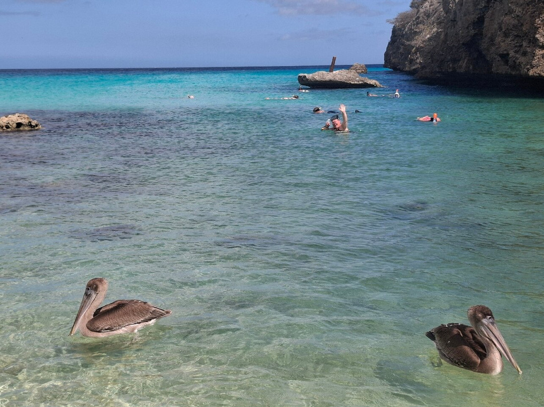 Daaibooi Beach-Sint Willibrordus必去景点