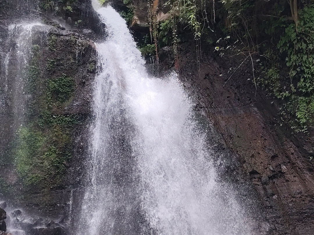 Mangalia Waterfalls-阿鲁沙必去景点
