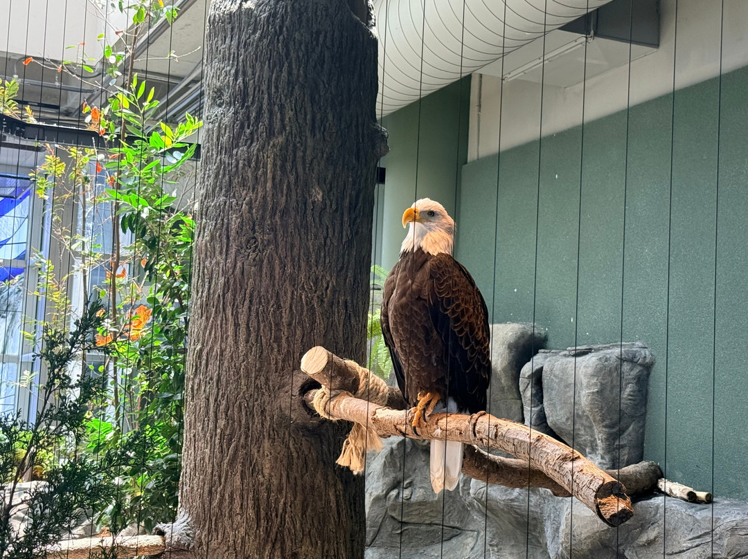 South Carolina Aquarium-查尔斯顿必去景点