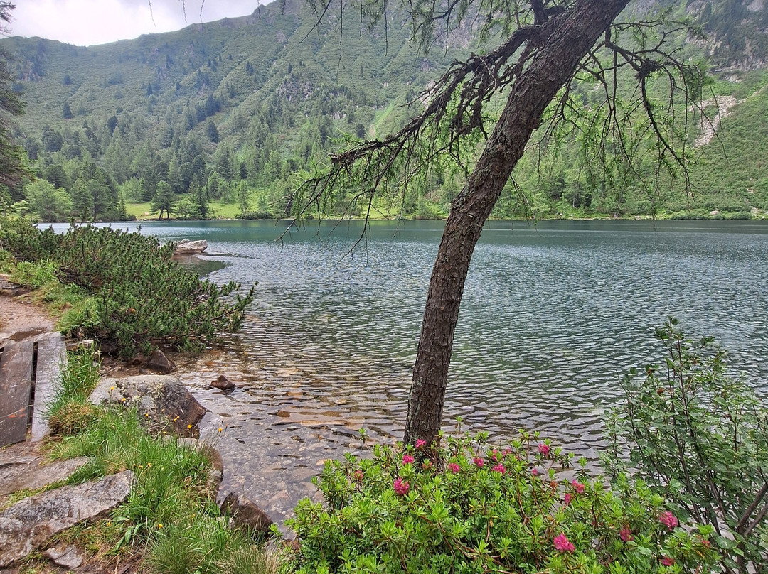 Leopoldsteinersee-Eisenerz必去景点