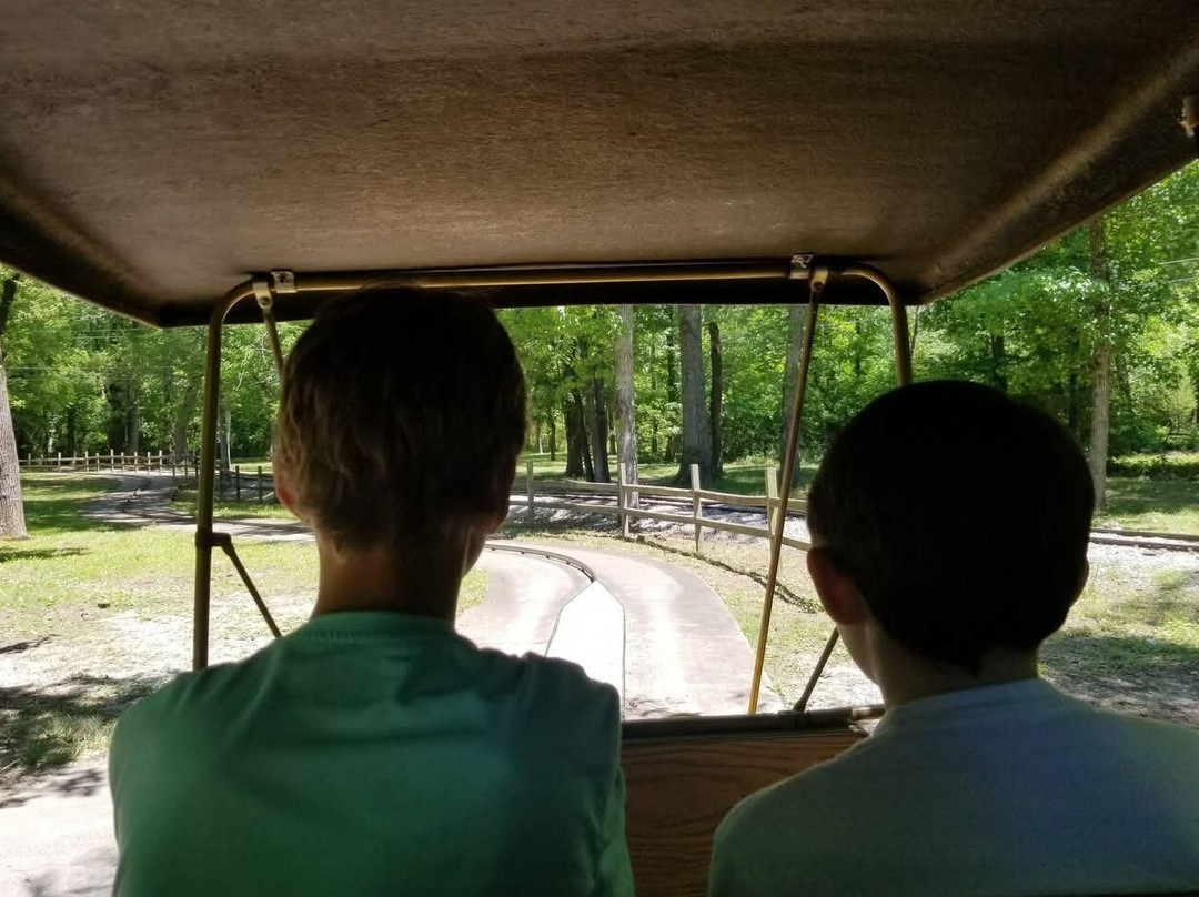 Lake Winnie Amusement Park-Rossville必去景点