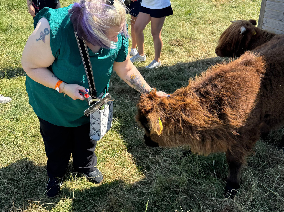 Hogshaw Farm & Wildlife Park-Hogshaw必去景点