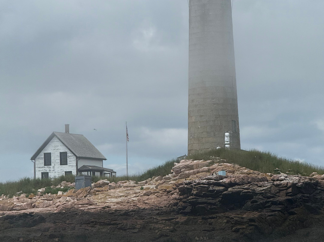 Acadia Puffin Cruise-Steuben必去景点