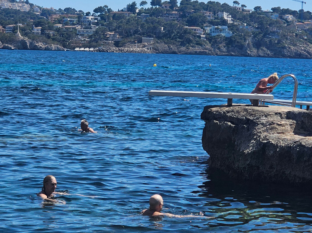 Mr. Mallorca guide tours VIP-Campanet必去景点
