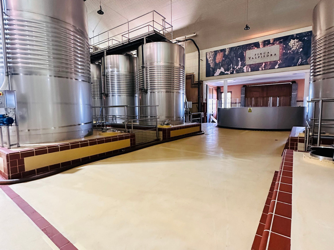 Bodega Finca Valpiedra-Fuenmayor必去景点