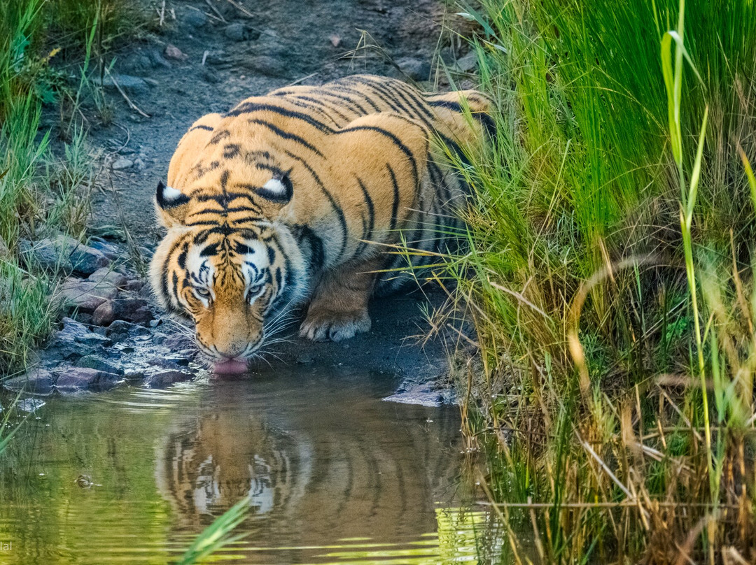 Kishindo Conservation Reserve-Philippolis必去景点