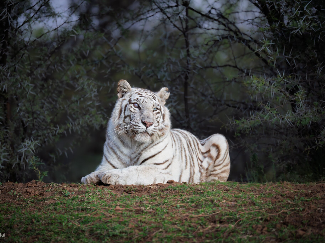 Kishindo Conservation Reserve-Philippolis必去景点