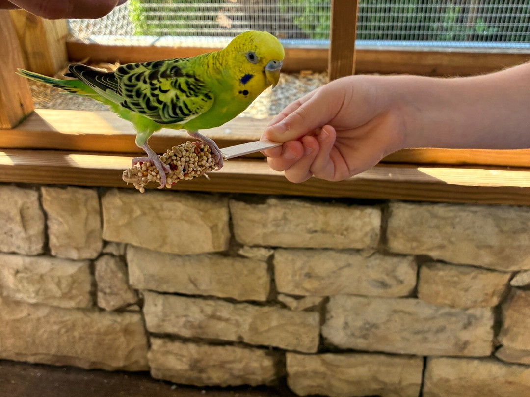 Broadway Zoological Park-Broadway必去景点