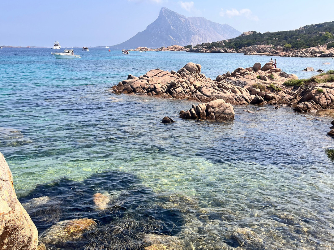 Spiaggia Delle Vacche-Baia Sardinia必去景点