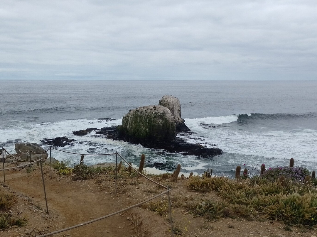 Punta De Lobos-皮钦勒姆必去景点