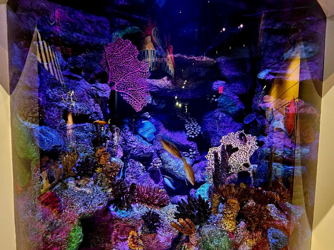 Aquarium At The Boardwalk-布兰森必去景点