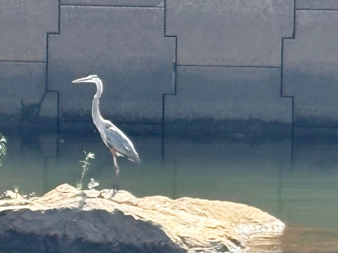Columbus Riverwalk-哥伦布必去景点