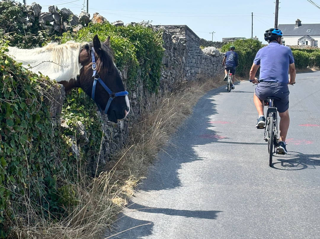 Aran Bike Hire-Inishmore必去景点