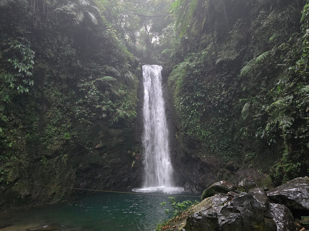 Bogor Halimun National Park Tour-茂物必去景点