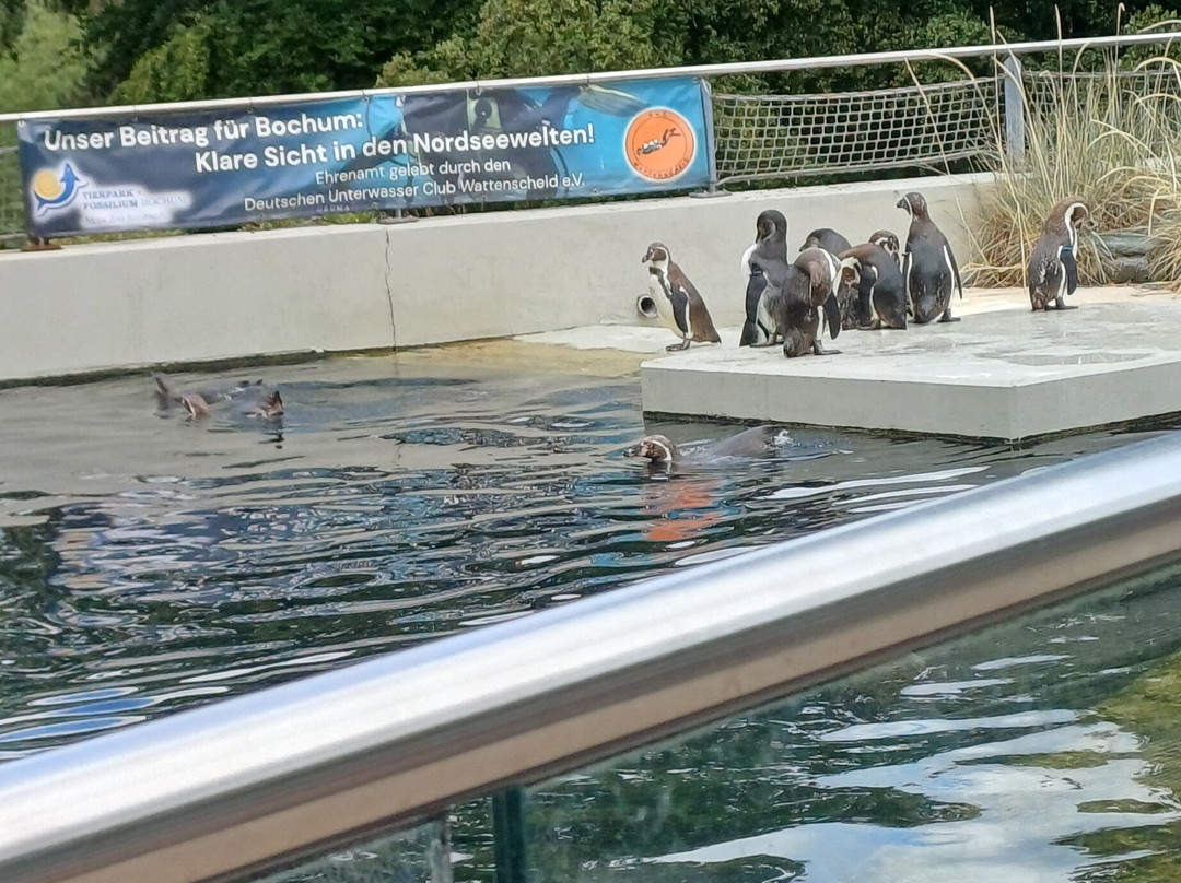 Tierpark und Fossilium Bochum-波鸿必去景点