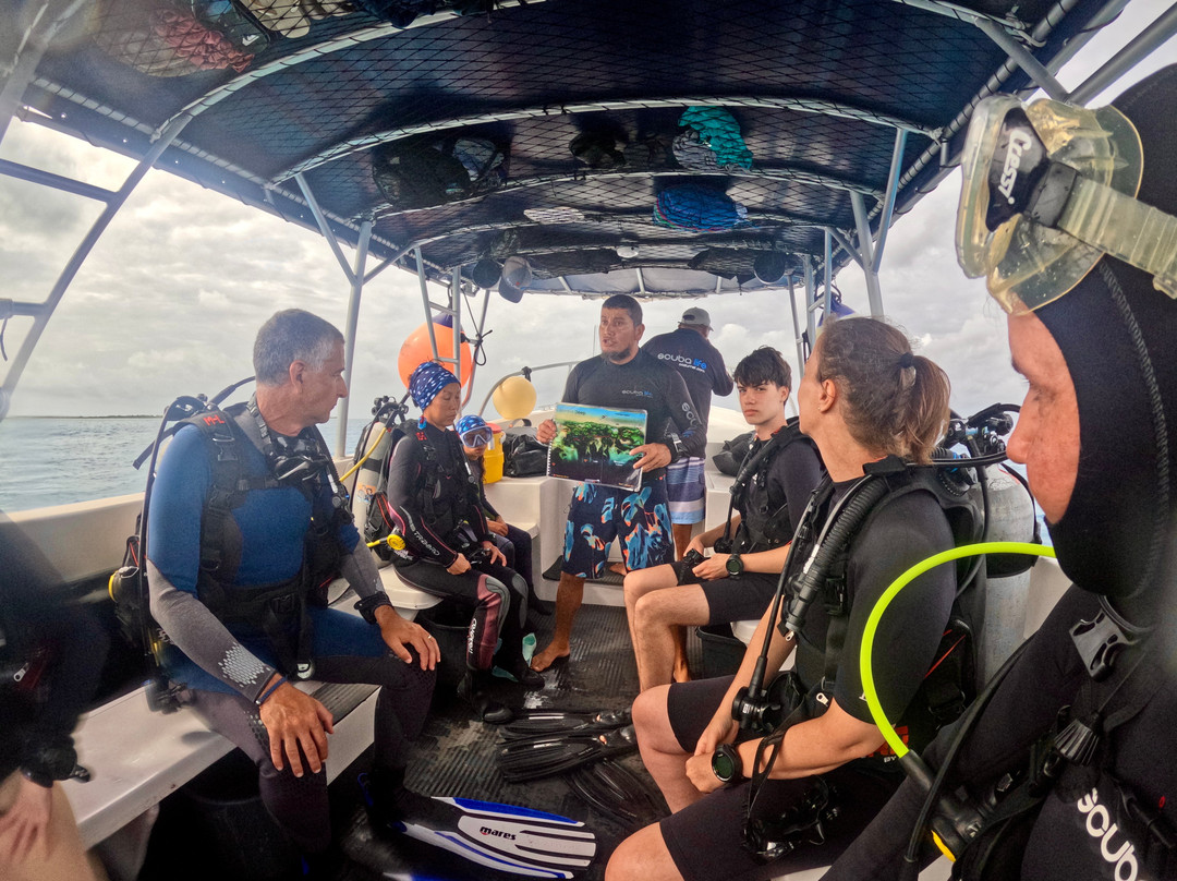 Scuba Life Cozumel-San Miguel de Cozumel必去景点