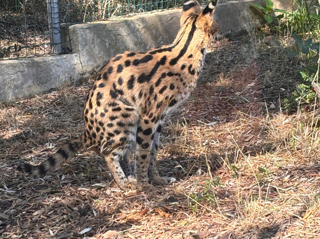 Zoa Parc Animalier et Botanique-滨海萨纳里必去景点